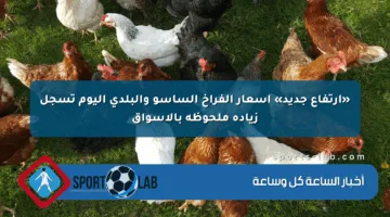 «ارتفاع جديد» أسعار الفراخ الساسو والبلدي اليوم تسجل زيادة ملحوظة بالأسواق